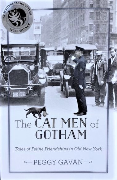 1951: The Black Cat That Brought Good Luck to the Brooklyn Dodgers - The  Hatching Cat of Gotham The Hatching Cat of Gotham