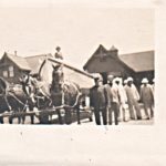 Surfmen Horse