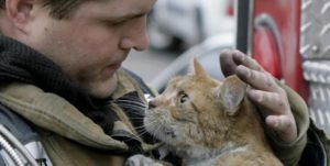 Firefighter with cat