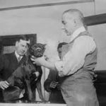 FirstDog