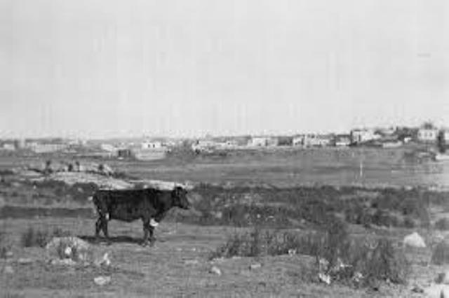 Cow Hunter's Point
This photo (circa about 1900) shows the view of Hunter’s Point in Long Island City from Sunnyside, Queens, which is just across from Greenpoint on the north side of the Newtown Creek. Photo from the book "300 Years of Long Island City"