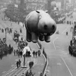 Hippo