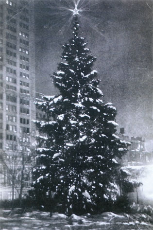 The Madison Square Christmas Tree, about 1912. 