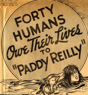 Paddy Reilly saved animals and people