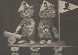 Pirate Cats of Chelsea Piers