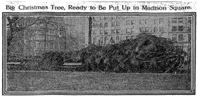 First Madison Square Park Christmas Tree