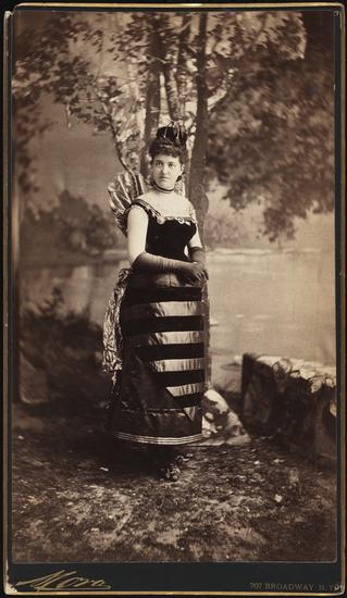 Portrait of Mrs. William Seward Webb (neé Lila O. Vanderbilt)