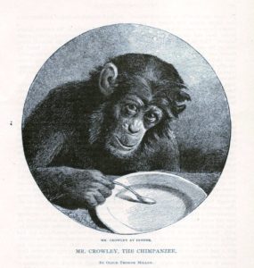 Mr. Crowley, Central Park Zoo