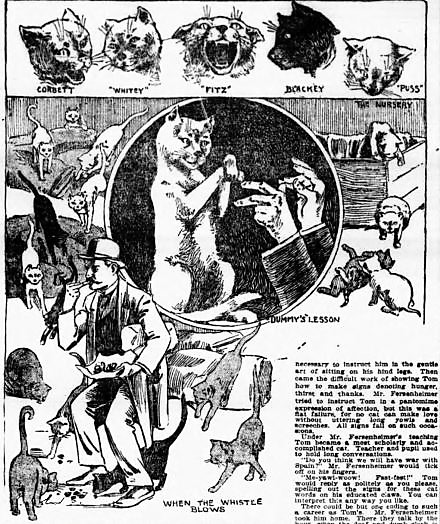 New York City's Post Office cats were featured in a news article in 1898