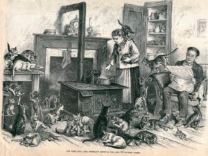 Mrs. Goodman's Hospital for Cats