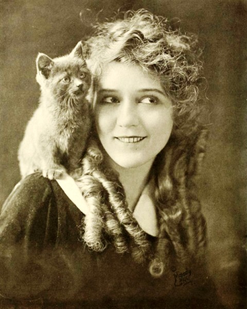 Mary Pickford and cat, 1916