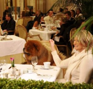 Martha Stuart and her dog, Ghenghis Khan, at afternoon tea at the Plaza.