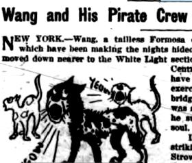 Wang and His Pirate Cats Crew