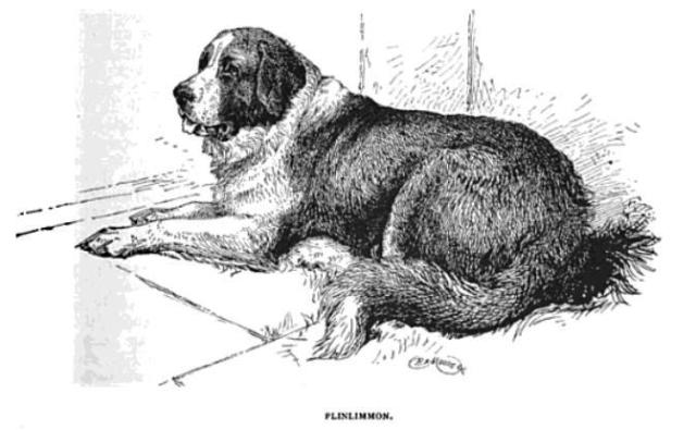 Plinlimmon, champion dog of J.K. Emmet