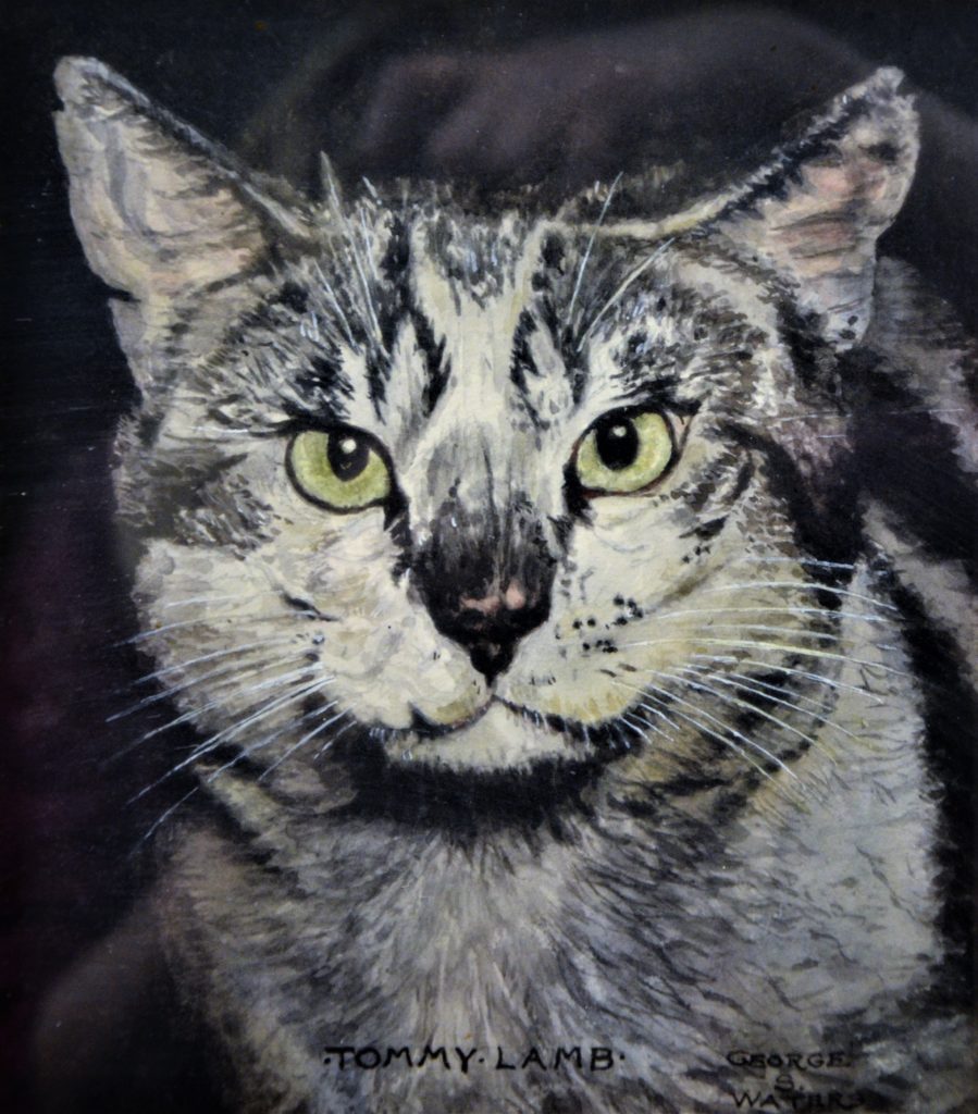Tommy Casanova Lamb was a Hell's Kitchen cat whose luck turned when he wandered into the Lambs Club on 44th Street when he was just a kitten. Tommy became a life member of The Lambs. To this day, his picture hangs in their clubhouse on West 51st Street. 