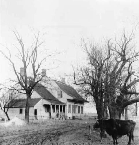 Neighbors often complained when Jimmie Murdock allowed his cows to graze in the vacant lots along 62nd Street and 8th Avenue. Today, these vacant lots are the site of Leif Ericson Park.  Brooklyn Public Library