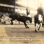 RodeoStadium