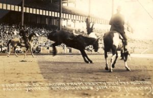 Tex Austin Rodeo, Yankee Stadium
