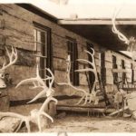 Elkhorn Ranch in Dakota Territory c. 1884 Antlers outside TR’s ranch in the Badlands