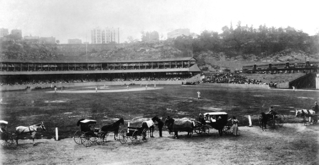 Polo Grounds 1905
Hatching Cat