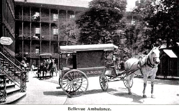 Bellevue Hospital ambulance horses