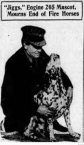 Jigg, coach dog of Engine No. 205
