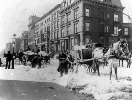 New York City Department of Street Cleaning horses