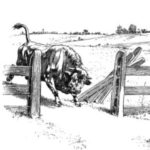 Charging_Bull_II