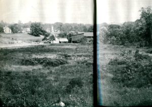 Bronx Zoo 1896