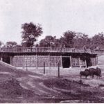 BronxZoo1899