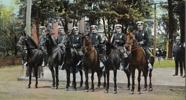 80th Precinct Mounted Police
