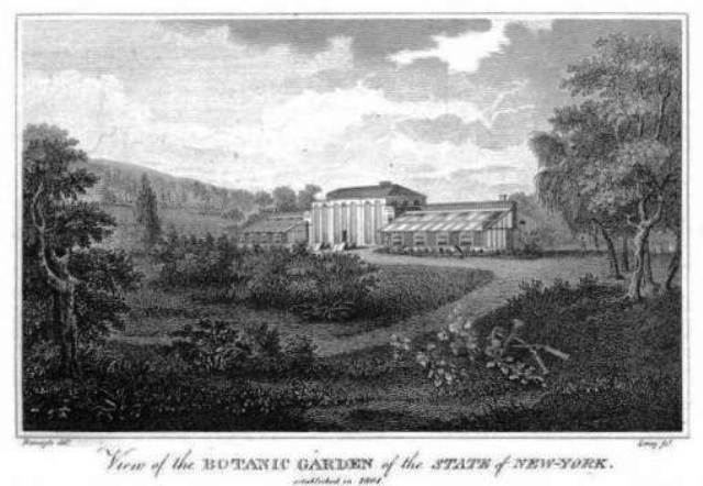 Elgin Botanic Garden
NYPL Digital Collections