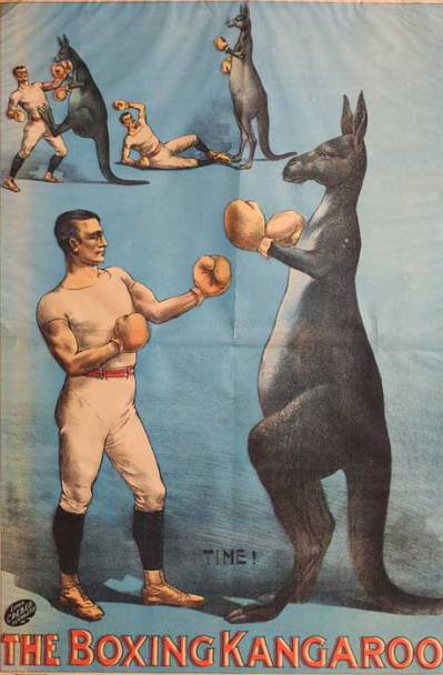 man does boxing against a kangaroo, Jim burns, | Stable Diffusion