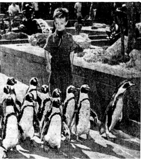 Michael J. O'Donnell and penguins at Rockefeller Center