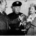 HaltonKittyKouncil