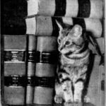Kitty Kouncil 1946