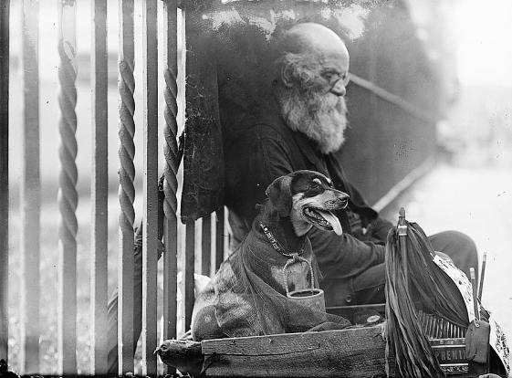 “Beggar’s dog – Hoboken,” ca. 1910-1915