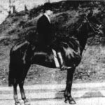 KingsleyHorse