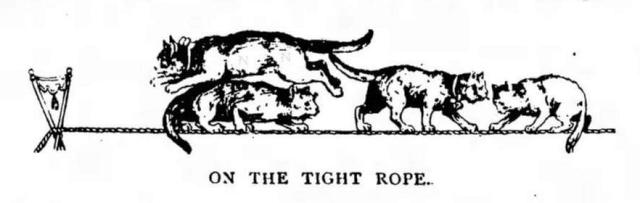 Several cats were trained to walk across a tightrope, which they did easily by using their tails like balancing poles. Herr George Techow said he tried to teach some cats to do somersaults, but that just made them go crazy.