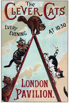 Before coming to America, Herr Techow's cats amazed audiences in London and other European cities.