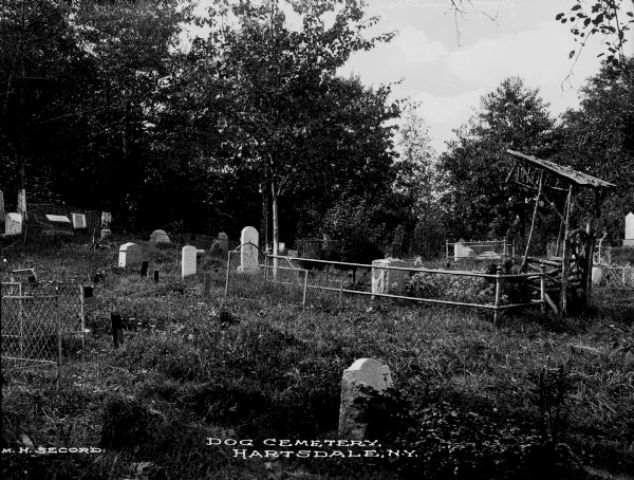 When Dane the Irish Setter was buried at Hartsdale, his enclosed grave site, pictured here, featured a large monument and a rustic seat for visitors. Photo by  Mr. William H. Secord, Hartsdale postmaster, from Hartsdale Pet Cemetery archives. 