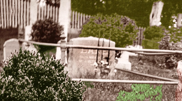 Dane, the Irish Setter, had an enclosed grave site and monument at Hartsdale Pet Cemetery. Photo courtesy of Hartsdale Pet Cemetery archives. 
