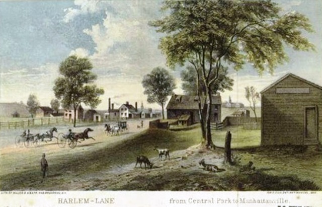 The old Harlem Lane -- once a Native American path called Weekquaeskeek and now called St. Nicholas Avenue -- served as the dividing line of the DeForest farm, which was established around 1637. This area, later known as Montagne's Land or Montagne's Flat, remained farmland through the early nineteenth century. 