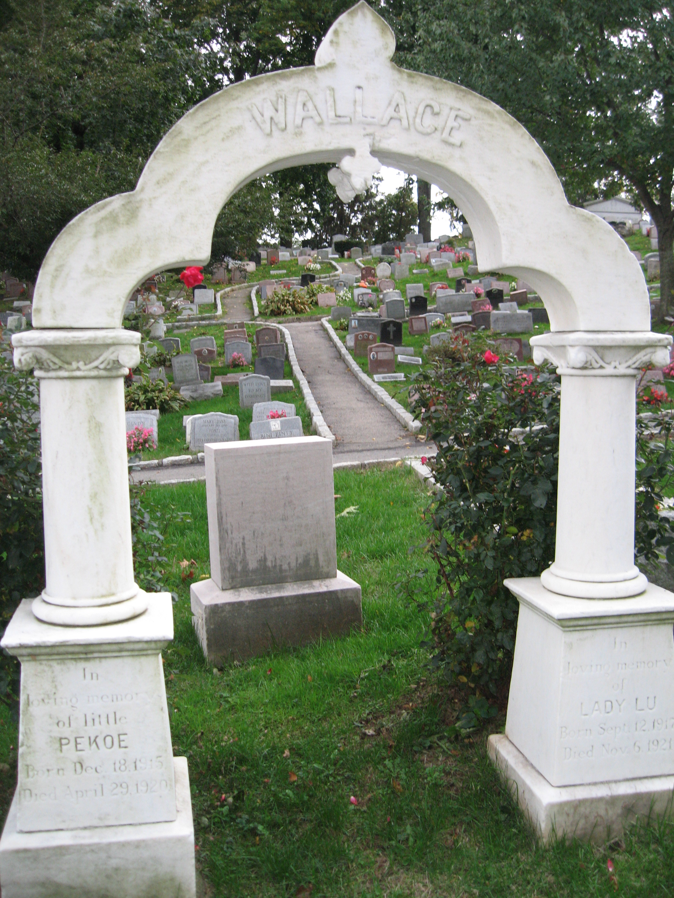 The Hartsdale Pet Cemetery in Westchester County remains a wonderful resting place for treasured pets of all kinds. Photo, P. Gavan