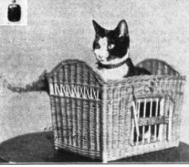 Kaiser, pictured here in the Christian Advocate Vol. 87 in 1914, was described as a glossy black cat with dainty white nose, breast, and mittens.