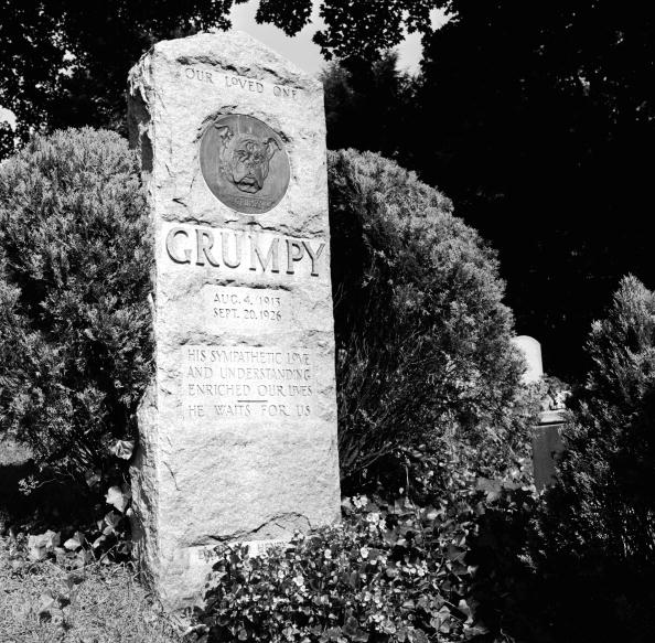Grumpy the bulldog didn't rise to fame on social media, but his owners treated him to the tallest monument at Hartsdale Pet Cemetery in Wesetchester County, New York, when he died in 1926.  (Photo from the Douglas Grundy collection)