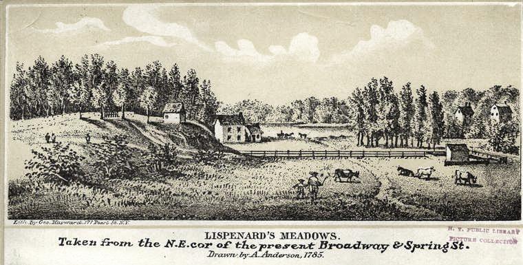 Lispenards Meadows