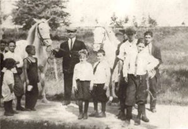 Fred Lane, an employee of J.W. Gorman, is pictured holding the reigns of King and Queen sometime around 1906. Photo courtesy of Jane Petersen.
Hatching Cat