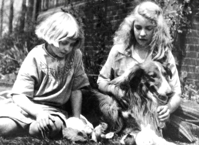 Margaret Wise Brown always loved animals. During her childhood, she and her sister, Roberta, had about 30 rabbits, one dog of their own, and about 6 "borrowed dogs." 