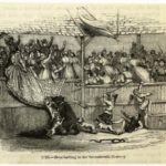 bearbaiting17thcentury